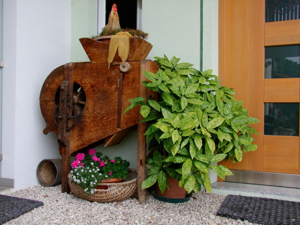 Kerschbamerhof im Süden Südtirols Cortaccia Exterior foto